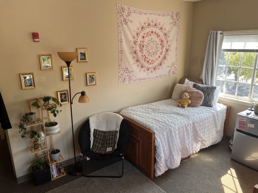 A neatly arranged dorm room with a single bed, decorative tapestry on the wall, a small shelf with plants, a standing lamp, a cushioned chair, and a mini-fridge near a window with blinds.