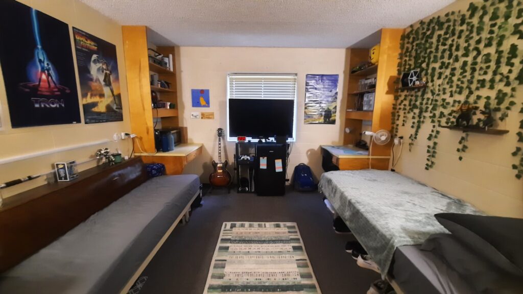 A dorm room with two single beds, a TV, posters on the walls, shelving units, a guitar, a laptop on a desk, and a rug on the floor. One wall is decorated with artificial vines.